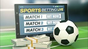Descubra o Mundo das Apostas com 917 bet 2